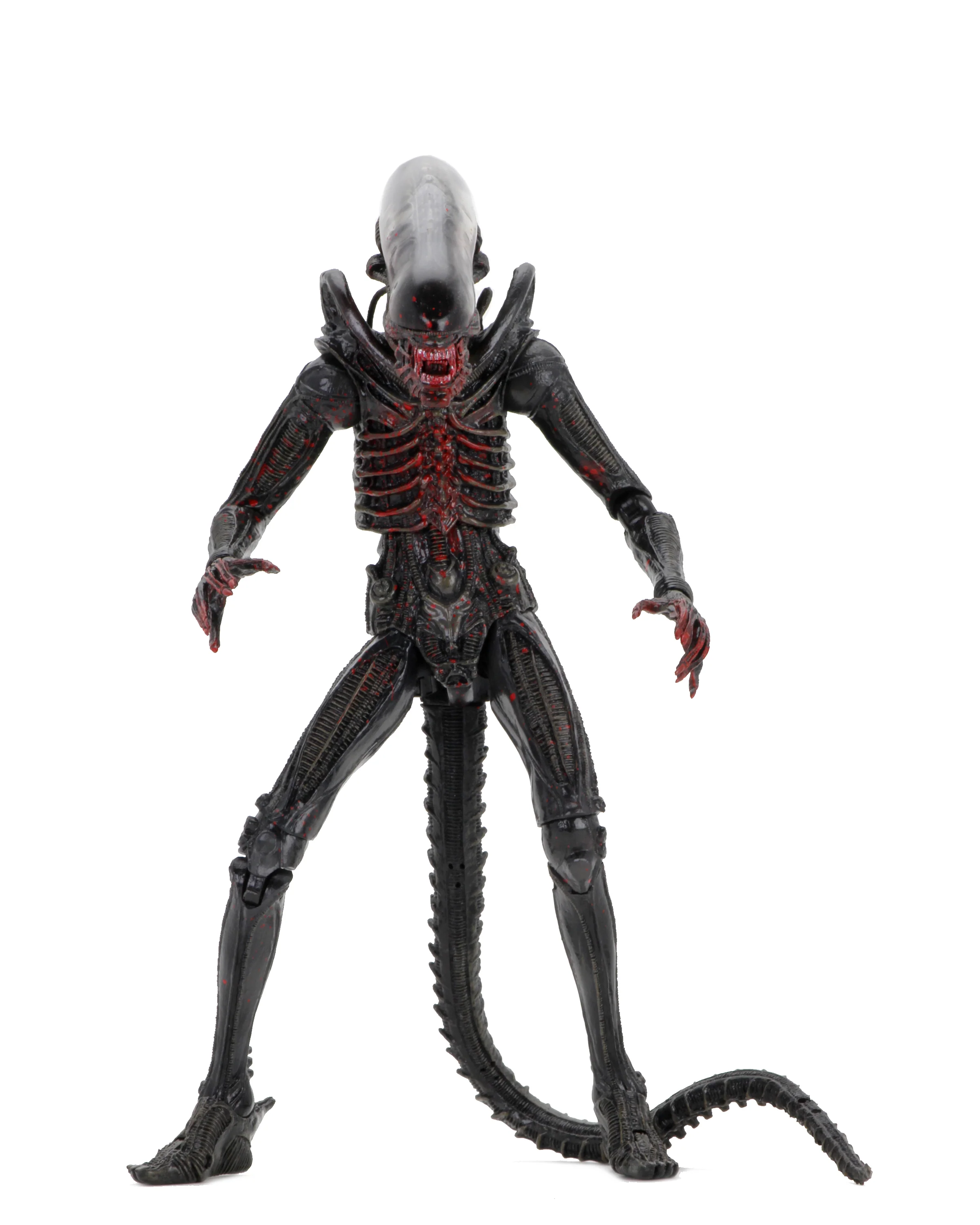 Alien - 40th Anniversary Asst 2 Xenomorph (Bloody) 7" Scale Action Figure - Image 6