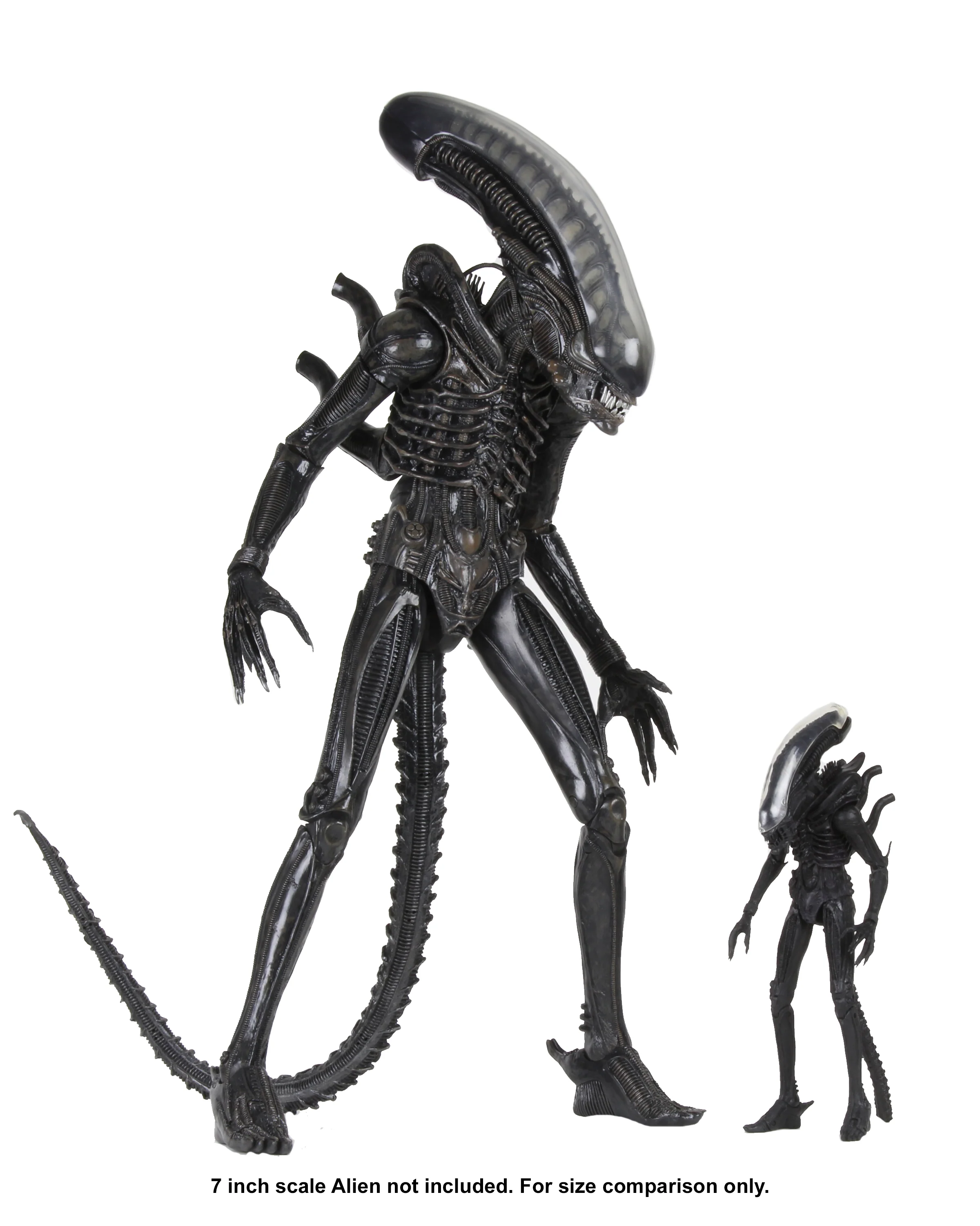 Alien - Big Chap 1/4 Scale Action Figure - Image 8