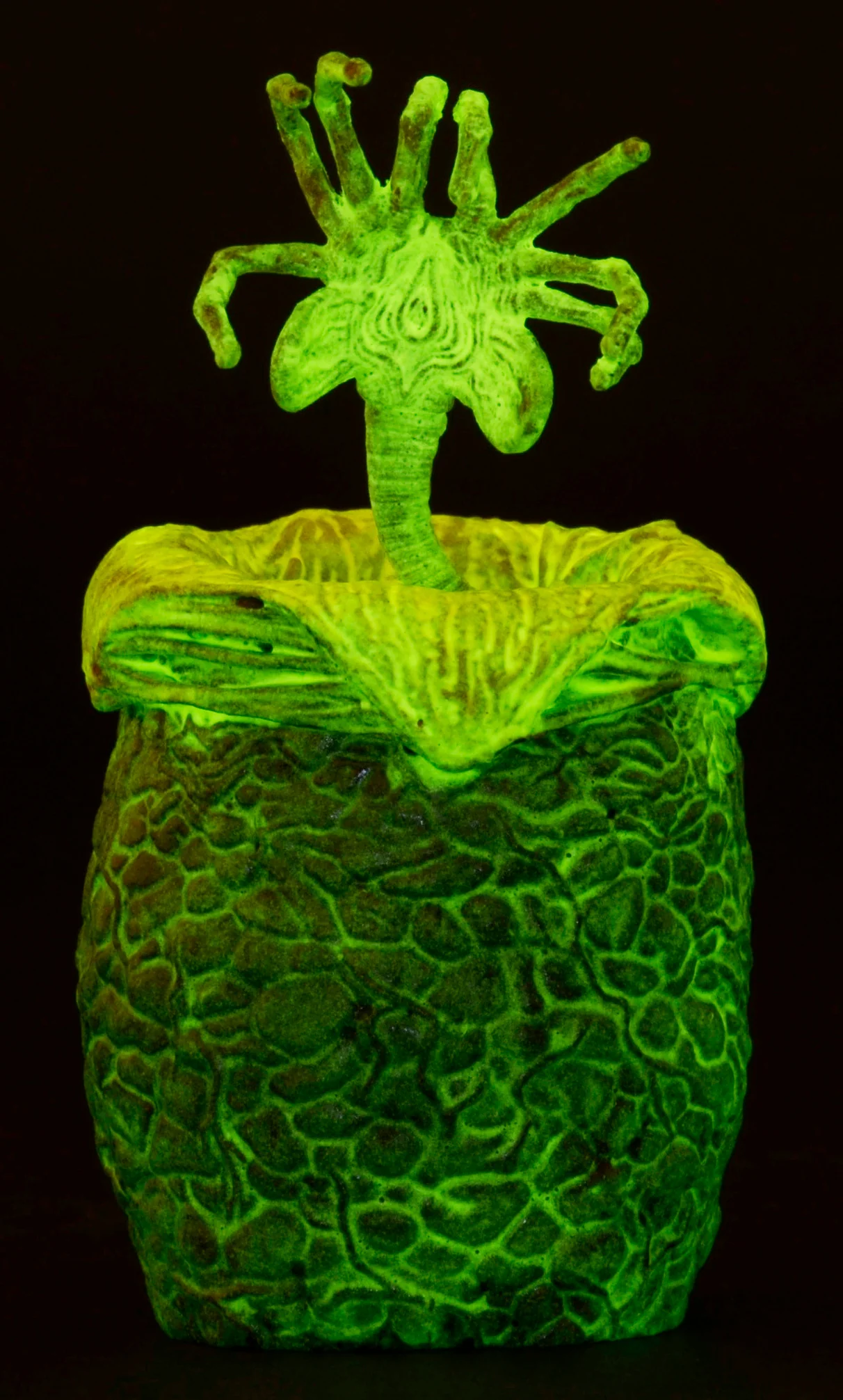 Alien - Glow-in-the-Dark Egg Set in Collectible Carton - Image 3