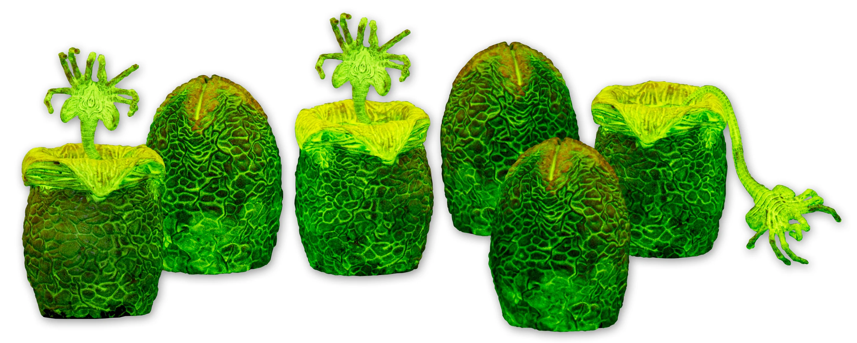 Alien - Glow-in-the-Dark Egg Set in Collectible Carton - Image 4