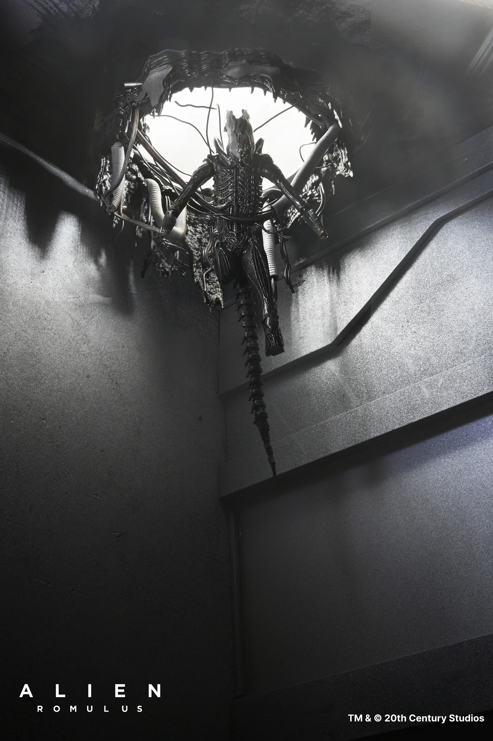 Alien: Romulus - Deluxe Suspended Lab Xenomorph XX121 7" Scale Action Figure - Image 4