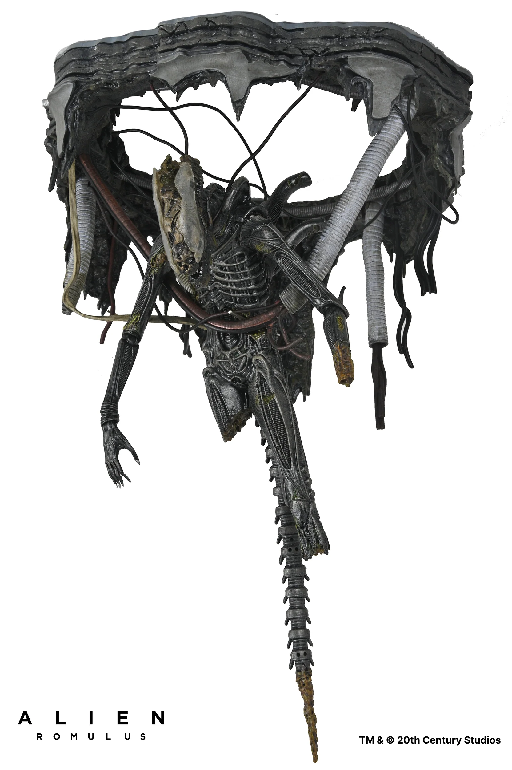 Alien: Romulus - Deluxe Suspended Lab Xenomorph XX121 7" Scale Action Figure - Image 9