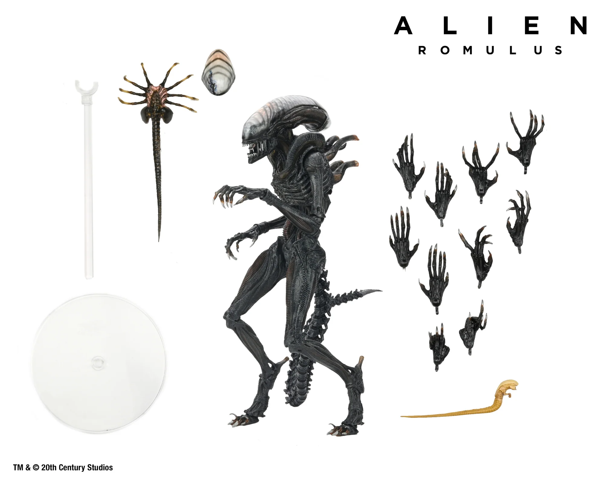 Alien: Romulus Ultimate Scorched Xenomorph 7-inch Scale Action Figure - Image 4
