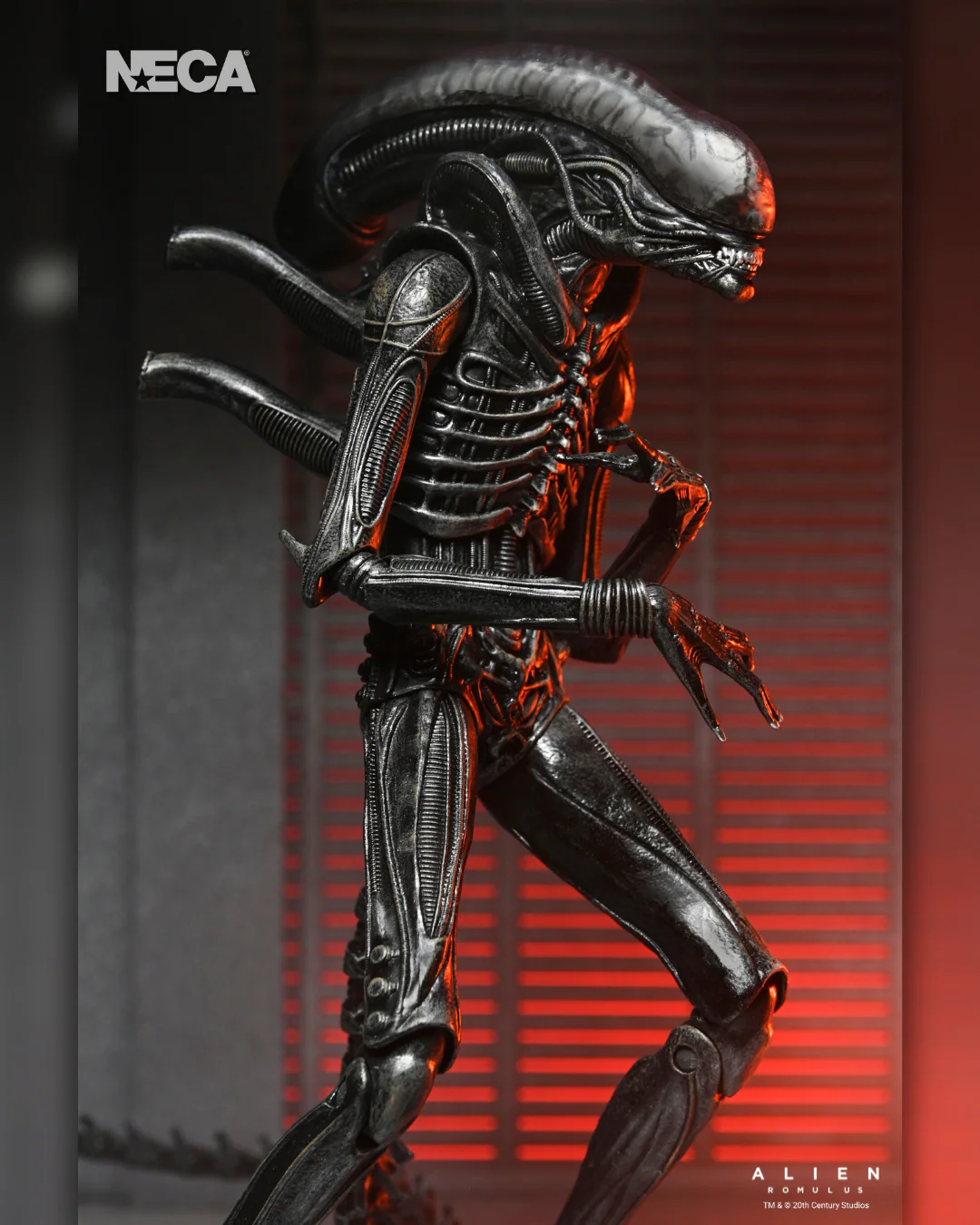 Alien: Romulus - Ultimate Xenomorph XX121 7" Scale Action Figure - Image 4