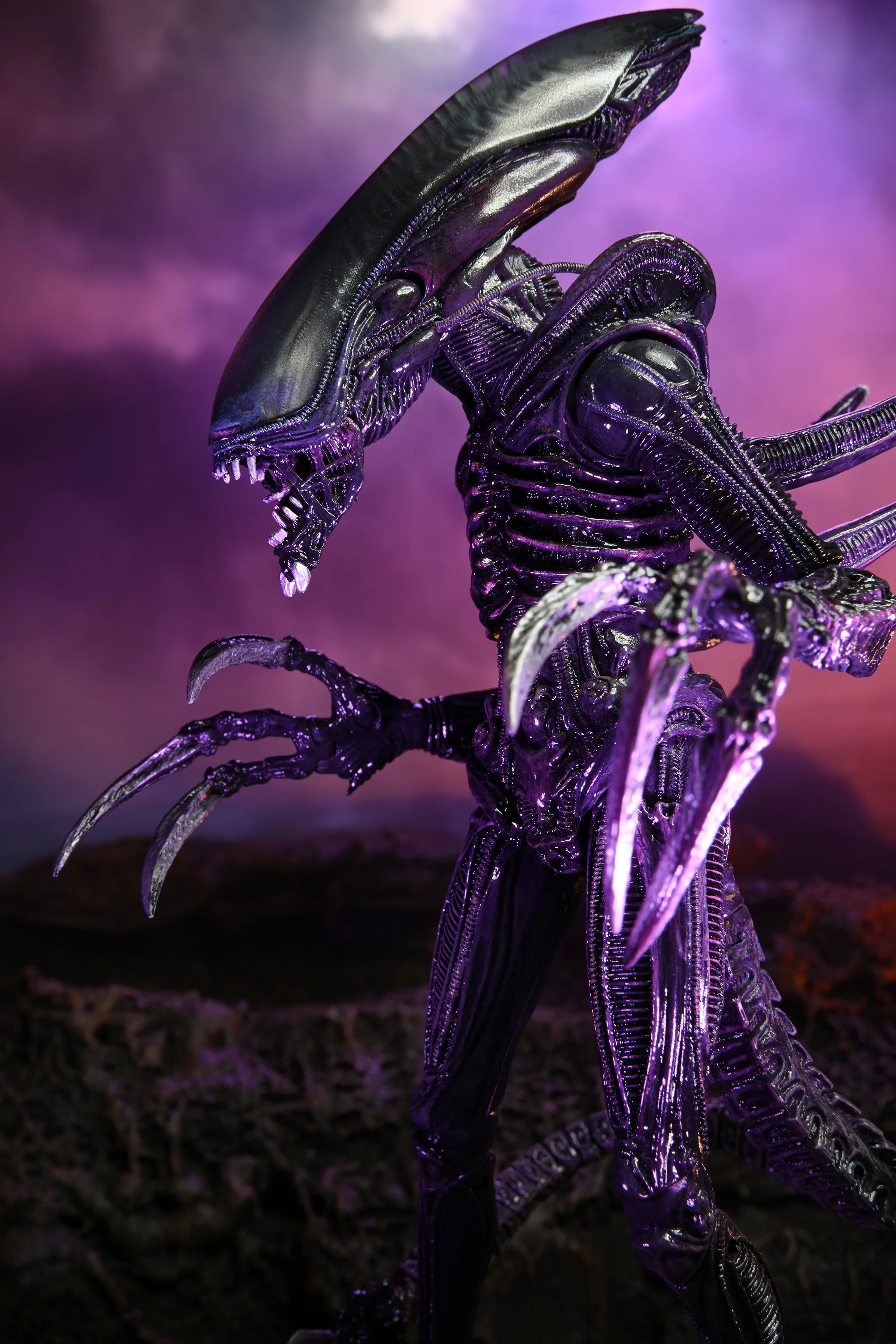 Alien vs Predator - Razor Claws Alien (Movie Deco) 7" Scale Action Figure - Image 3