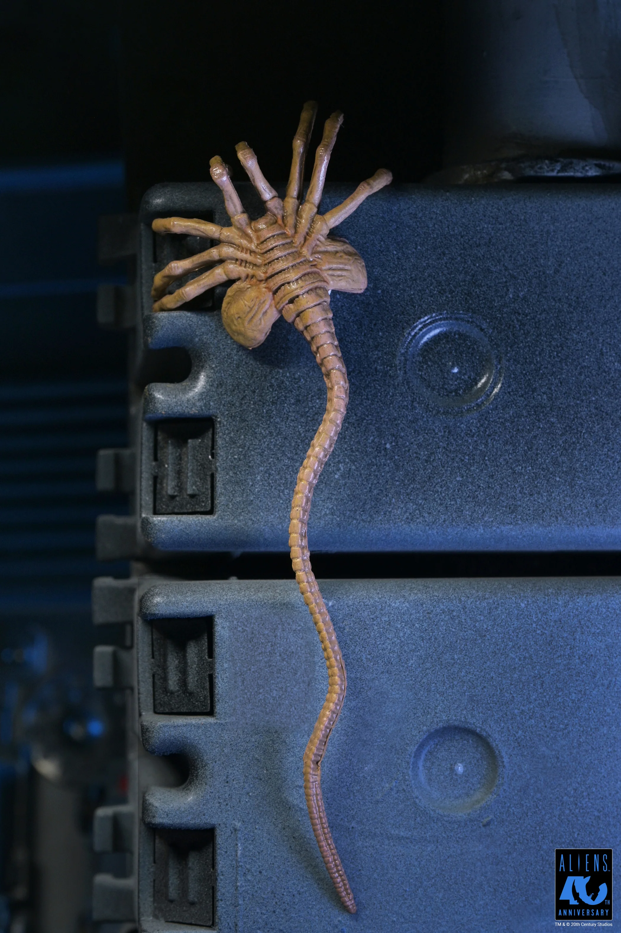 Aliens - 40th Anniversary Ultimate Xenomorph Warrior 7" Scale Action Figure (PRE-ORDER) - Image 3