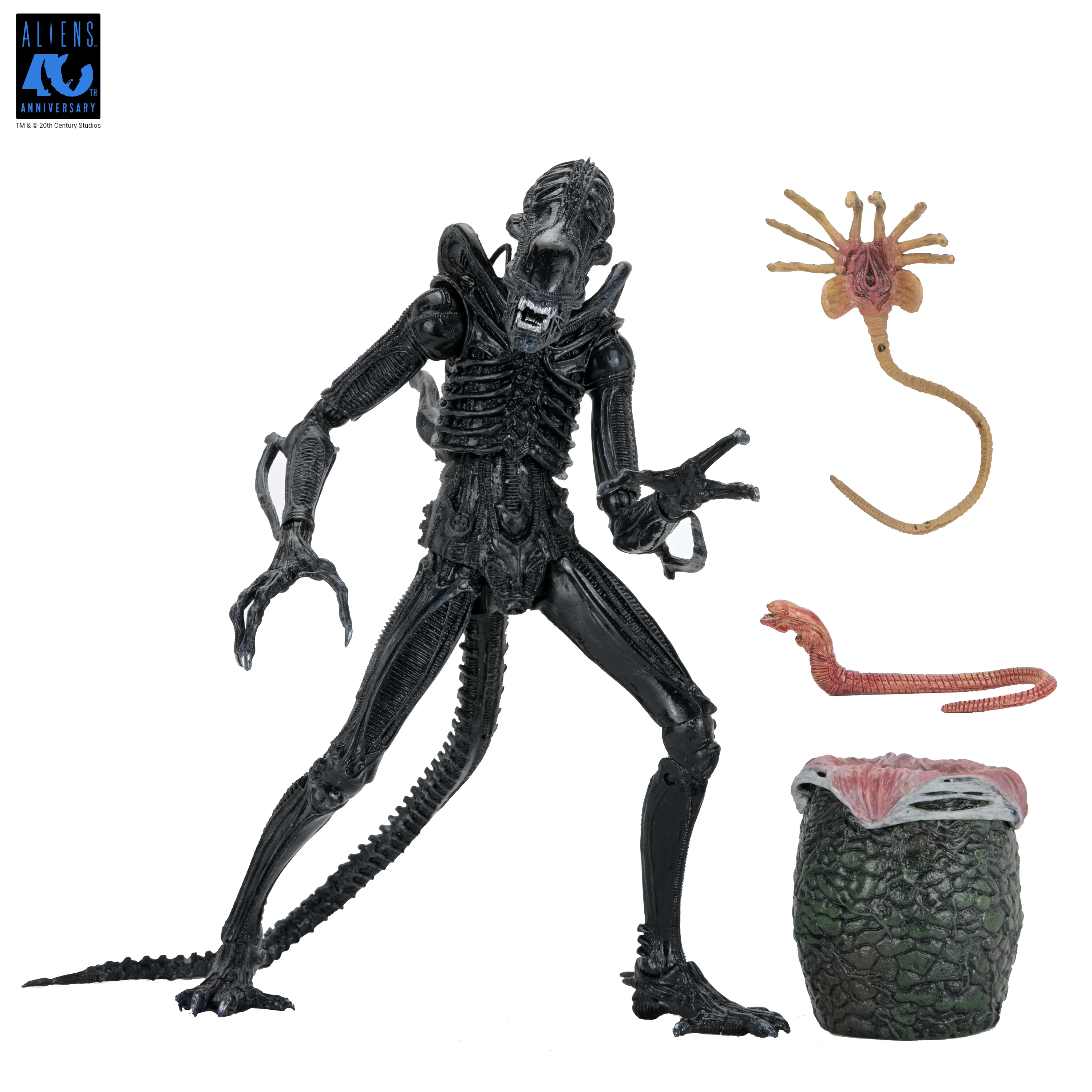 Aliens - 40th Anniversary Ultimate Xenomorph Warrior 7" Scale Action Figure (PRE-ORDER) - Image 8