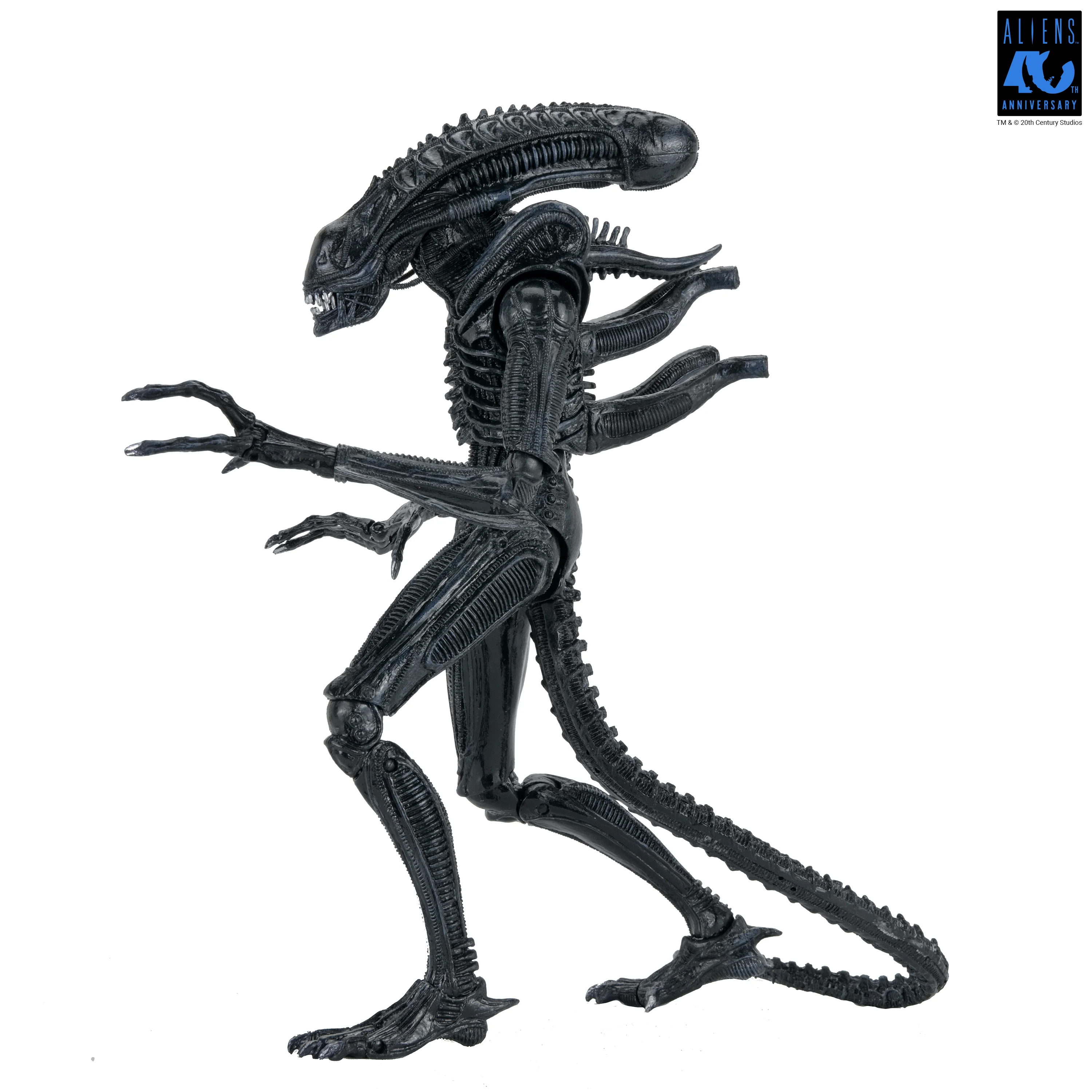 Aliens - 40th Anniversary Ultimate Xenomorph Warrior 7" Scale Action Figure (PRE-ORDER) - Image 9