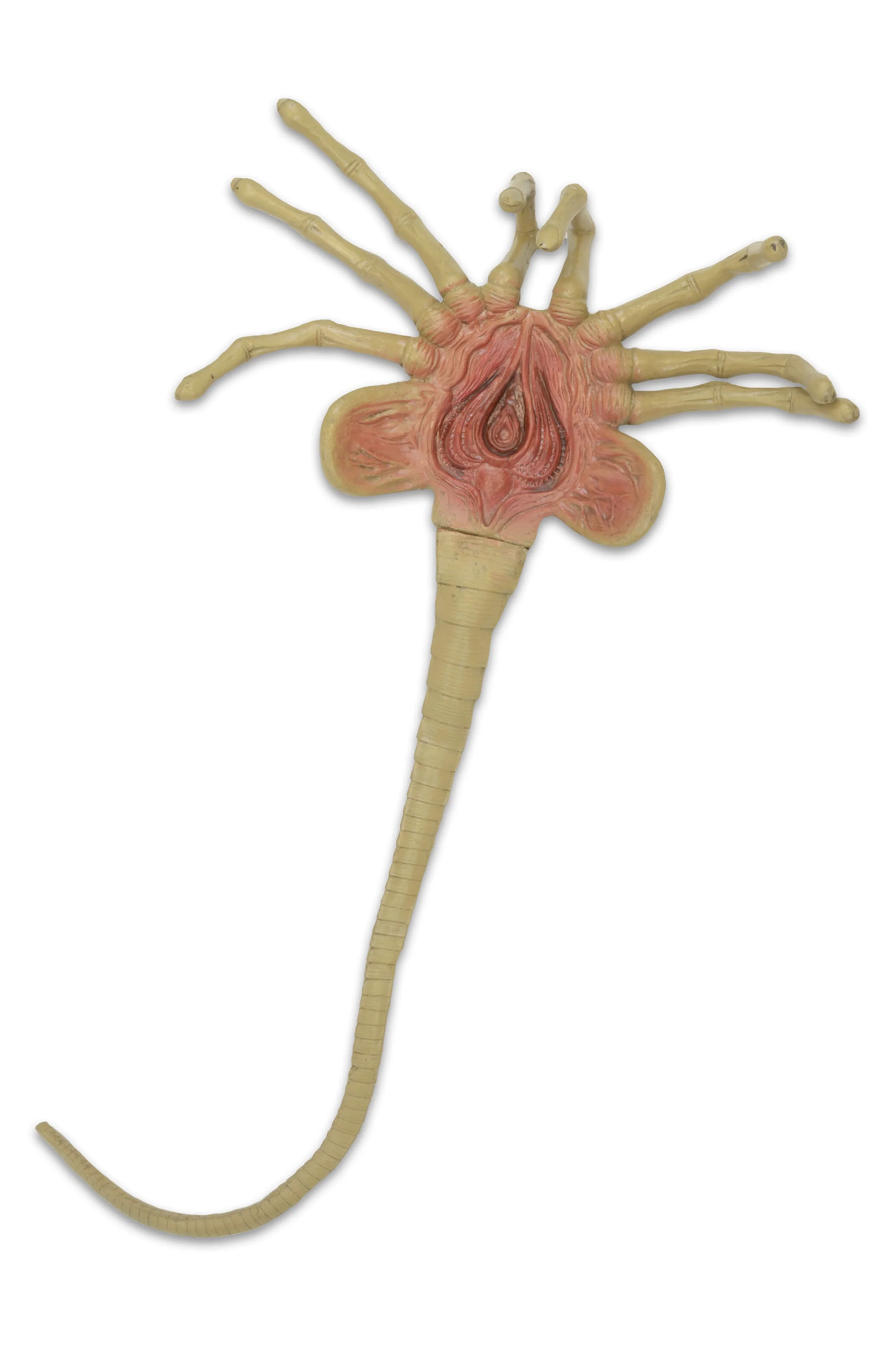 Alien - Facehugger Life-Size Foam Replica - Image 3