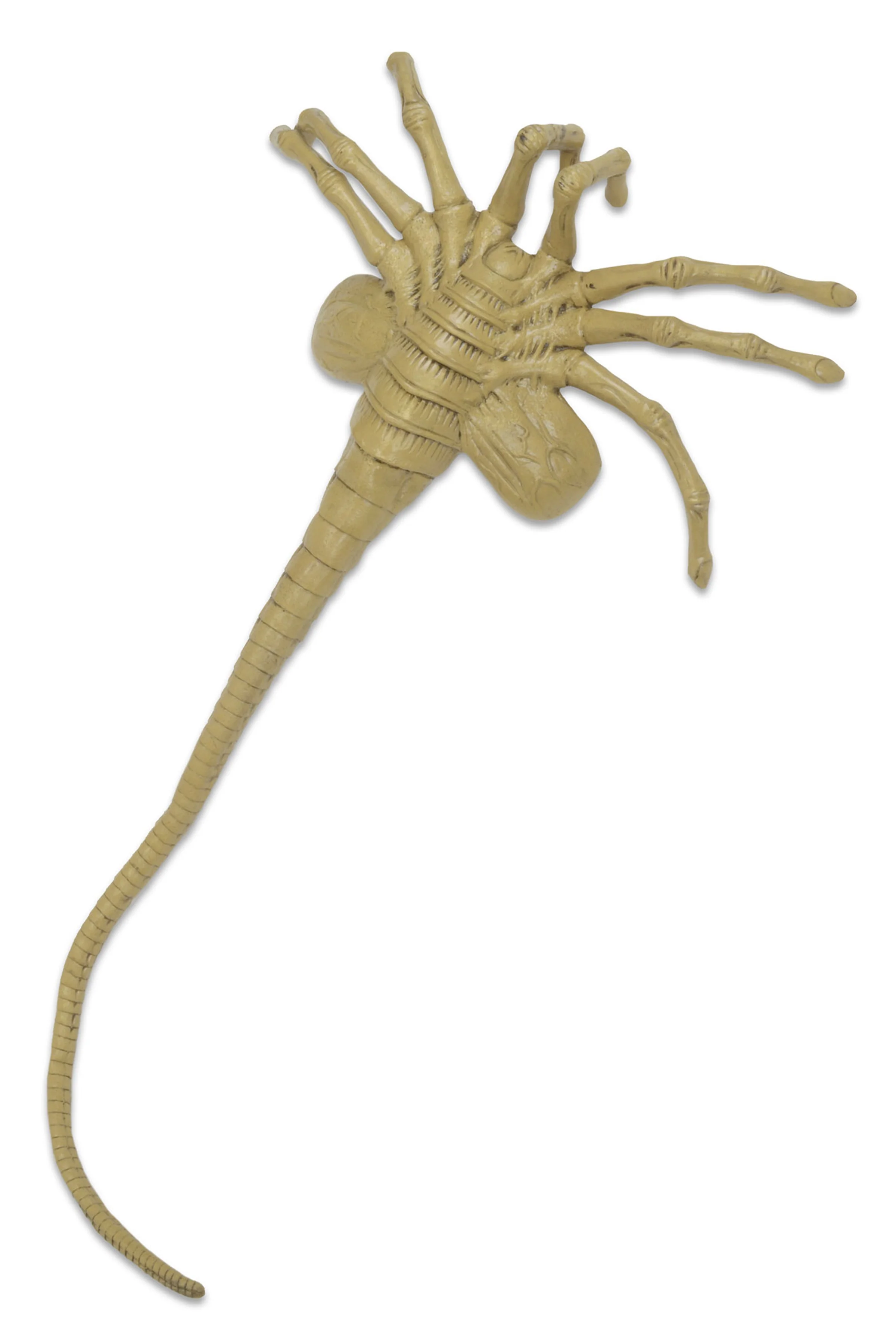 Alien - Facehugger Life-Size Foam Replica - Image 4